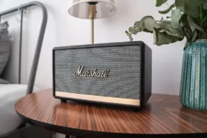 bluetooth speaker with microphone