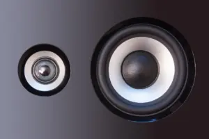 2 way vs 3 way speakers